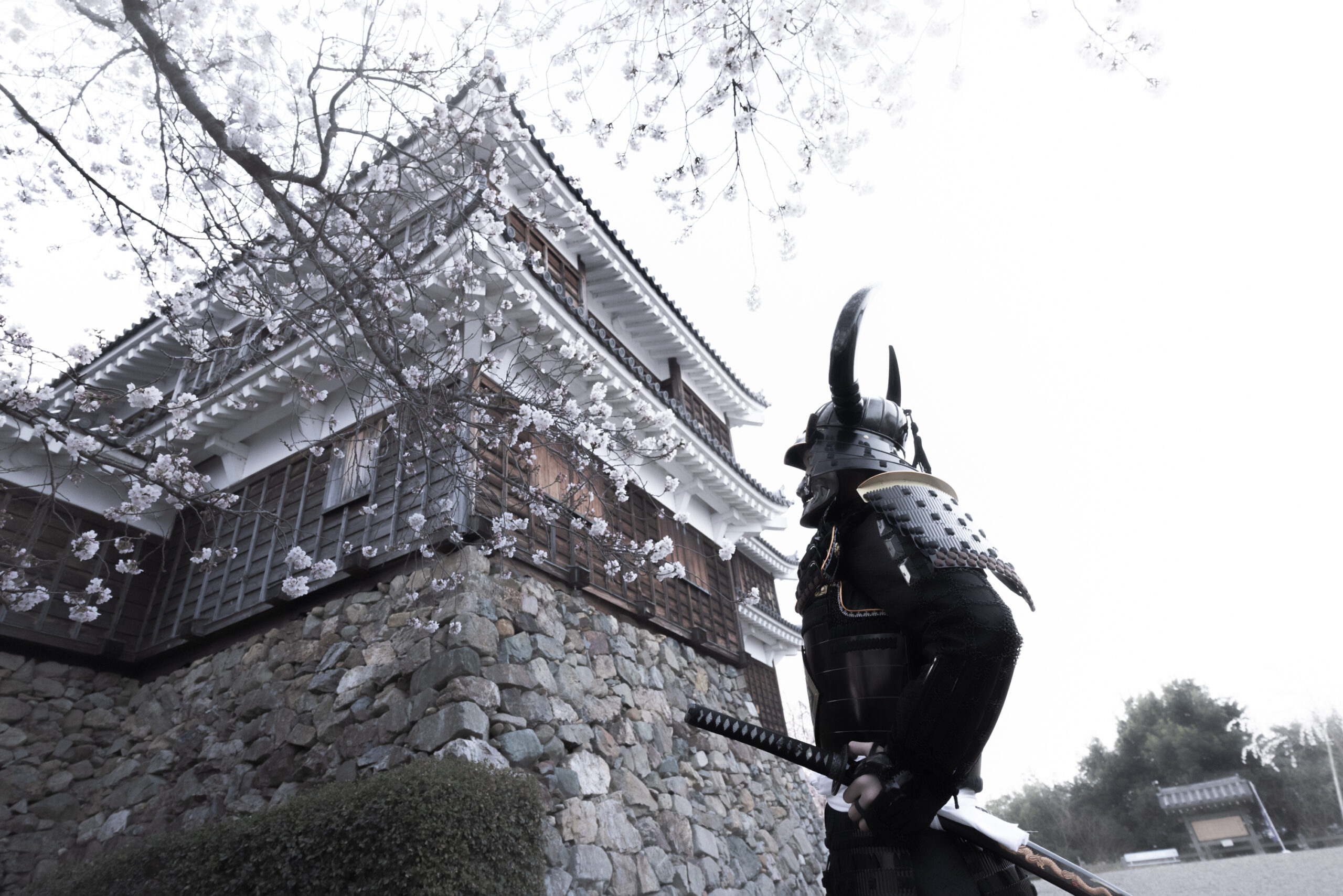 shogunstudiojapan_img_1