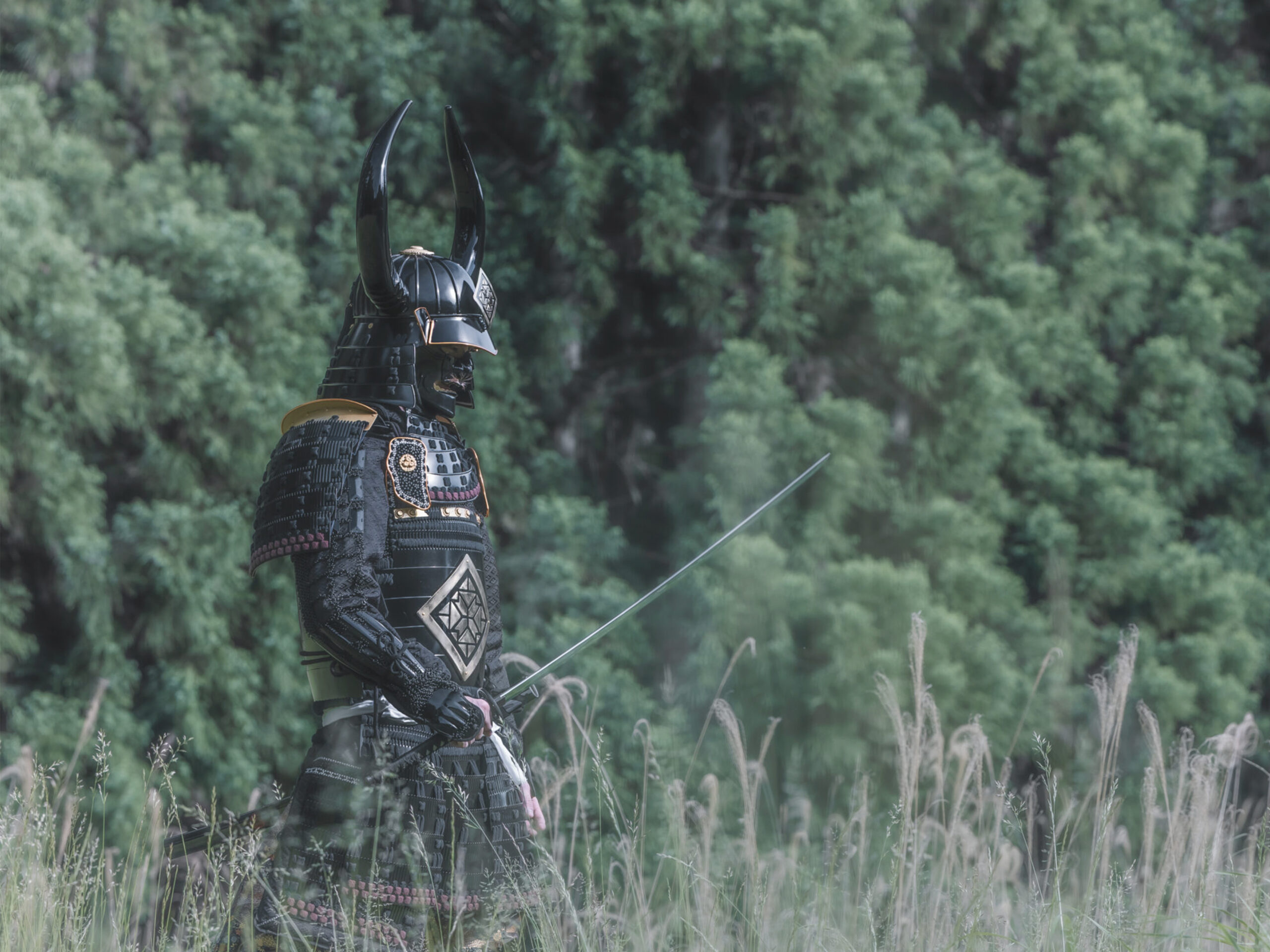 samurai_experience