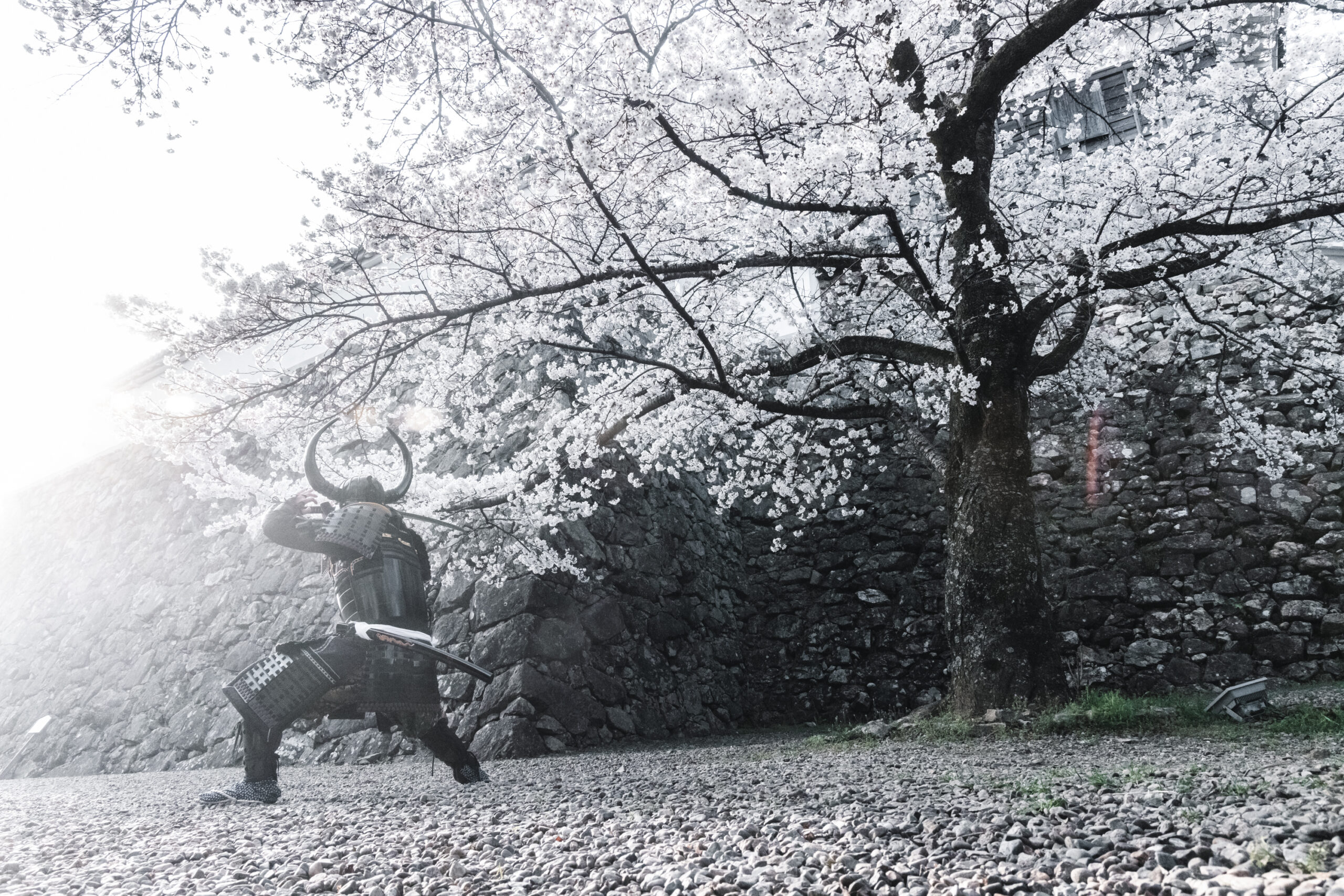 shogunstudiojapan_2