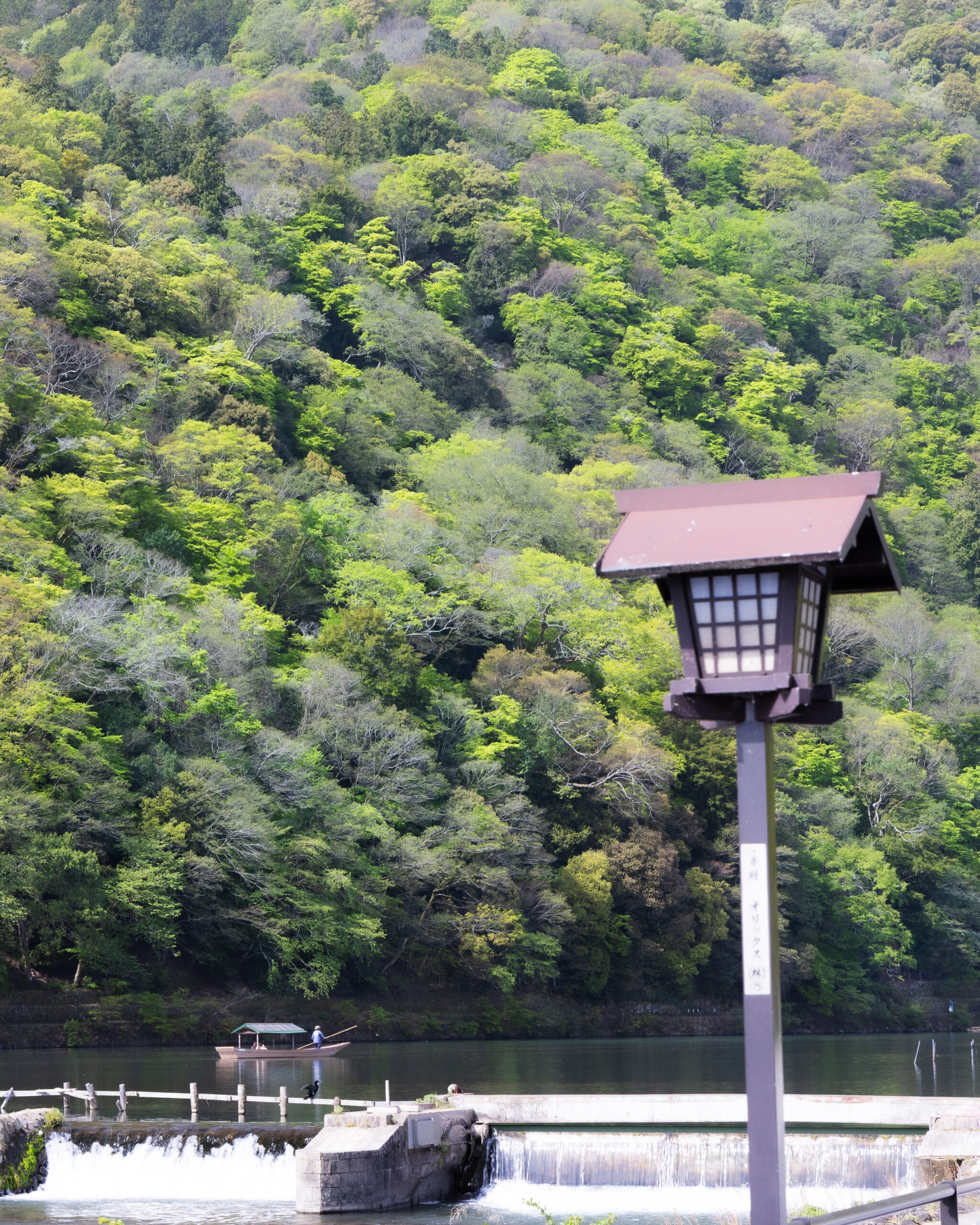 嵐山渡月橋 TOGETSUKYO BRIDGE14