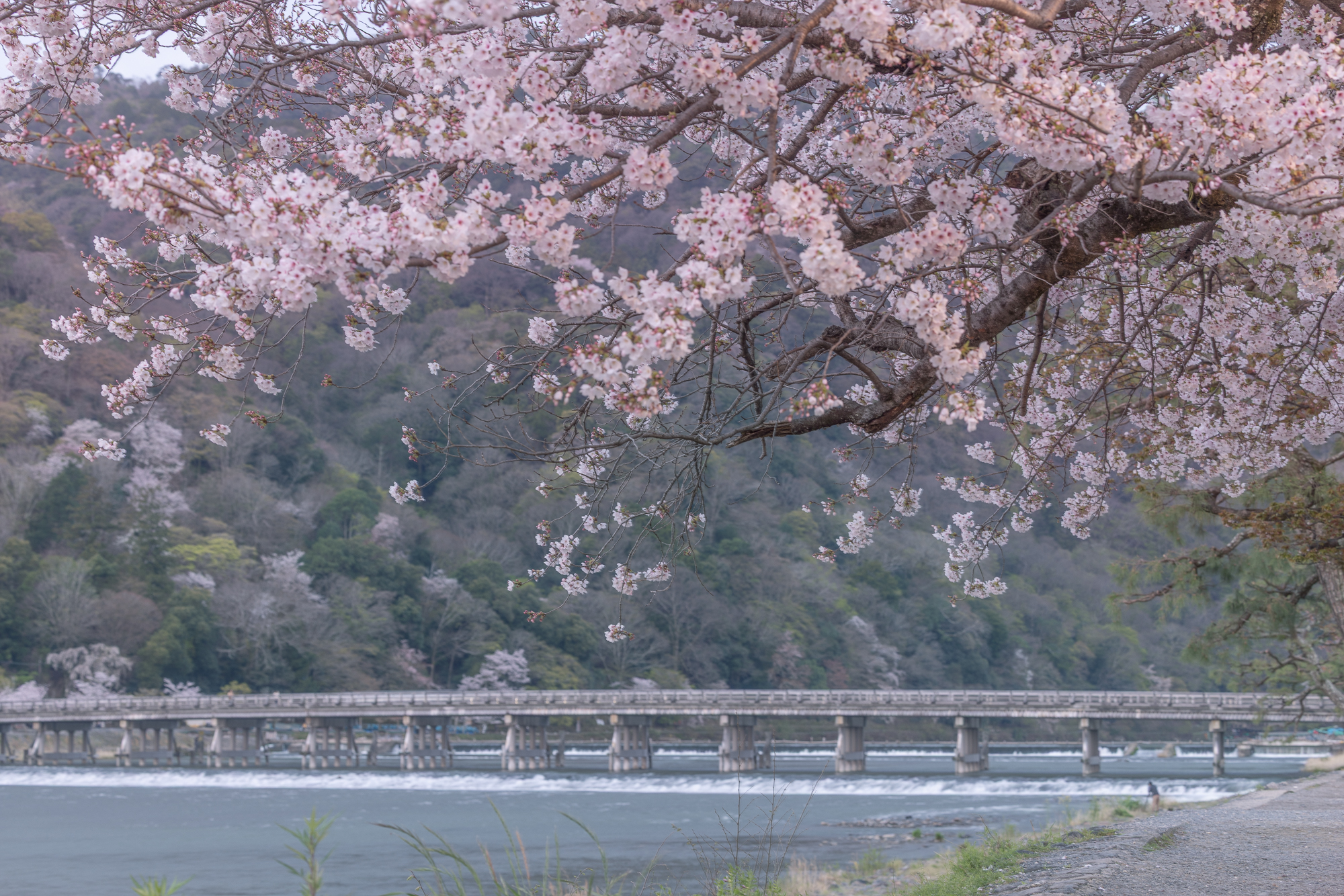 Togetsukyo bridge