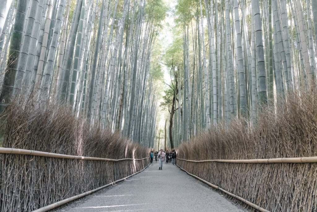 arashiyama-trave