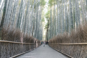 arashiyama-trave