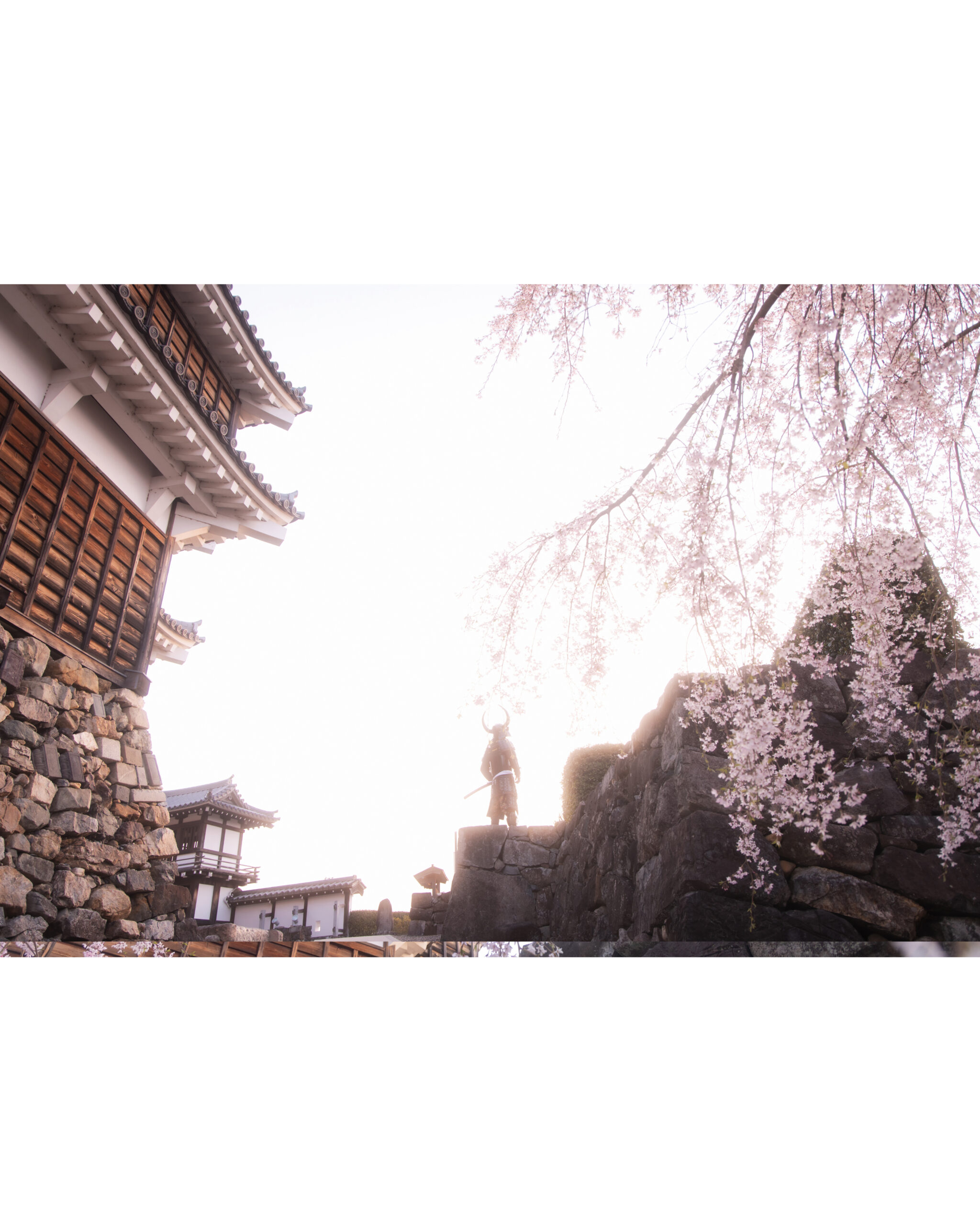 サムライ甲冑体験京都