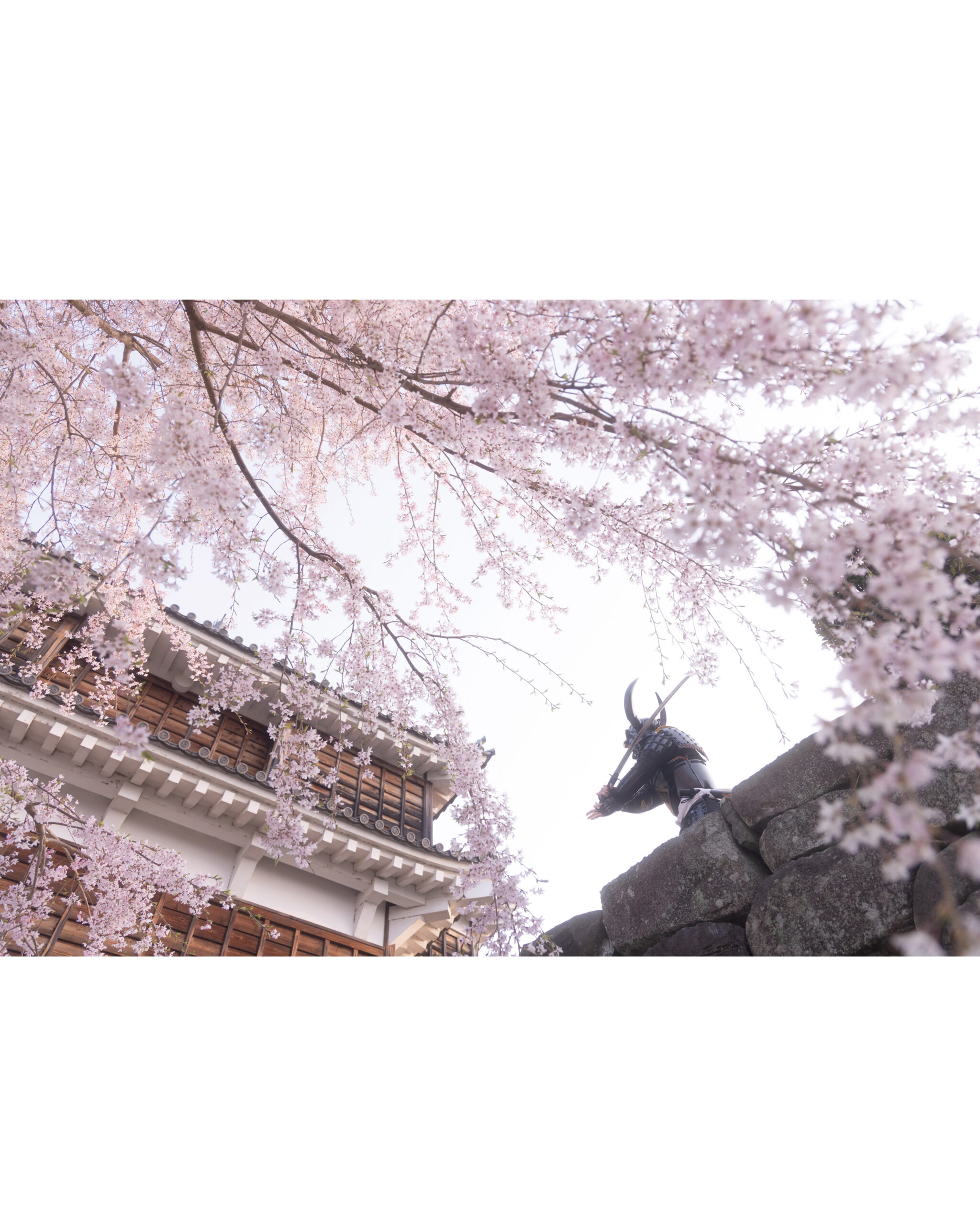 サムライ甲冑体験京都