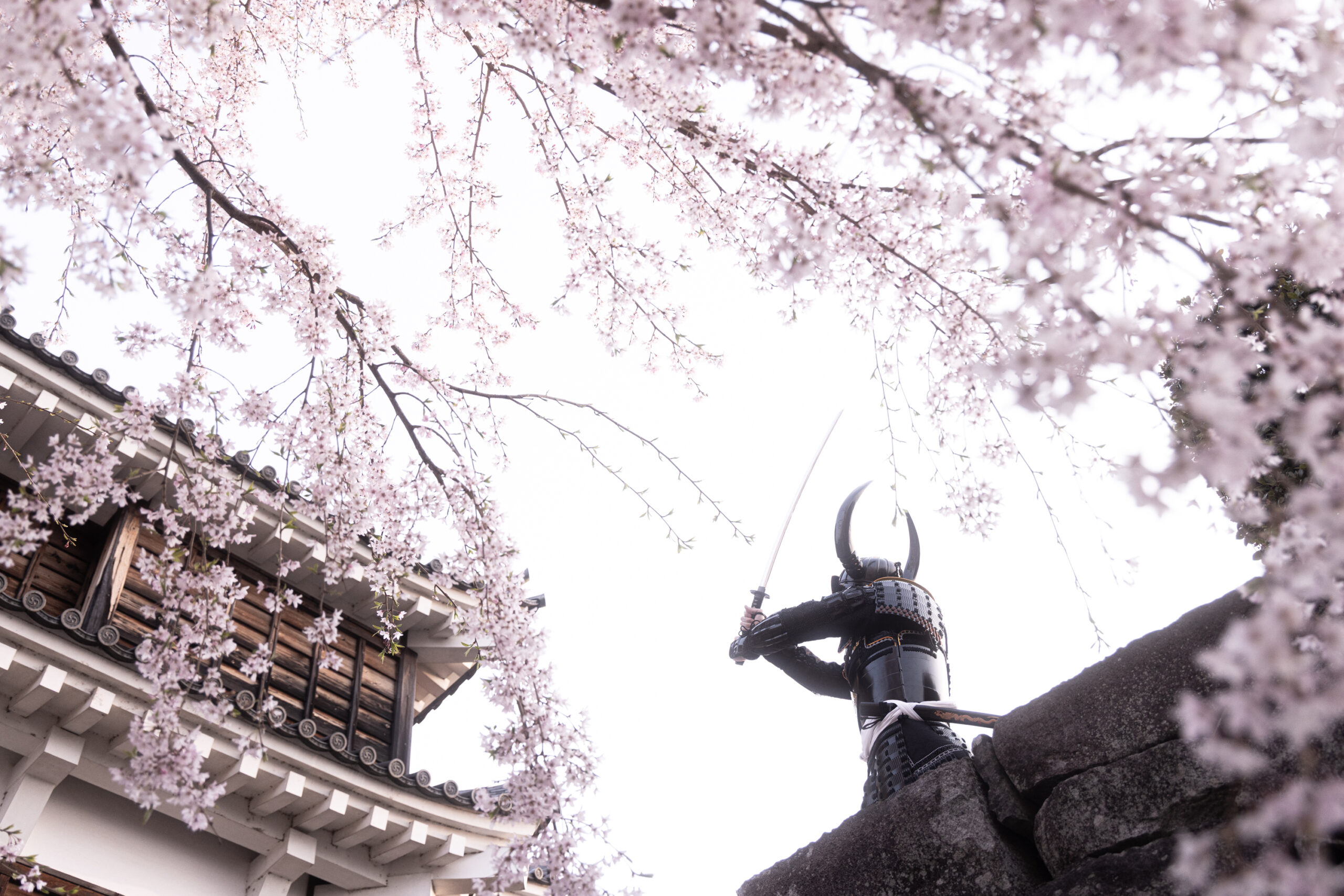 shogunstudiojapan_10