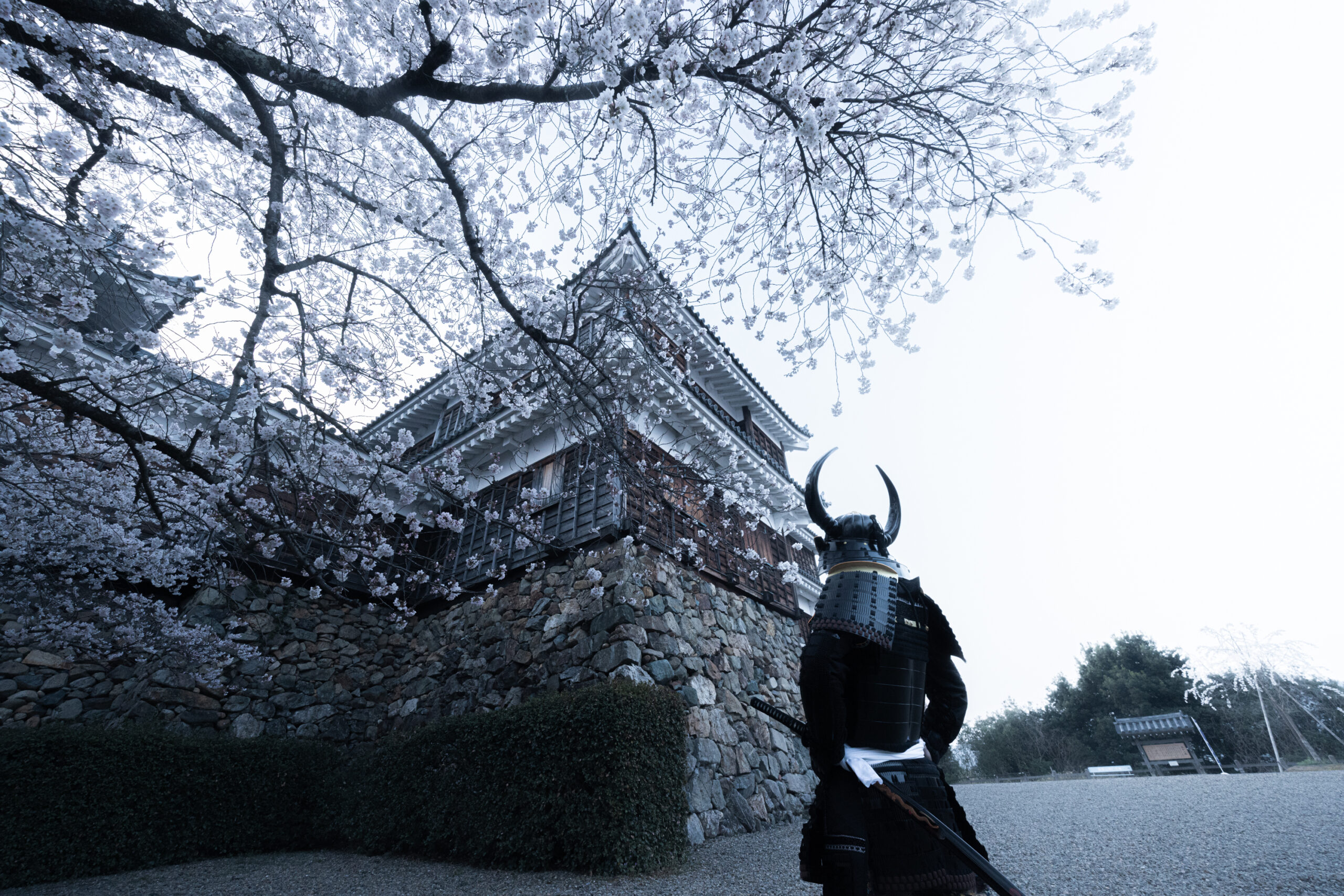 shogunstudiojapan