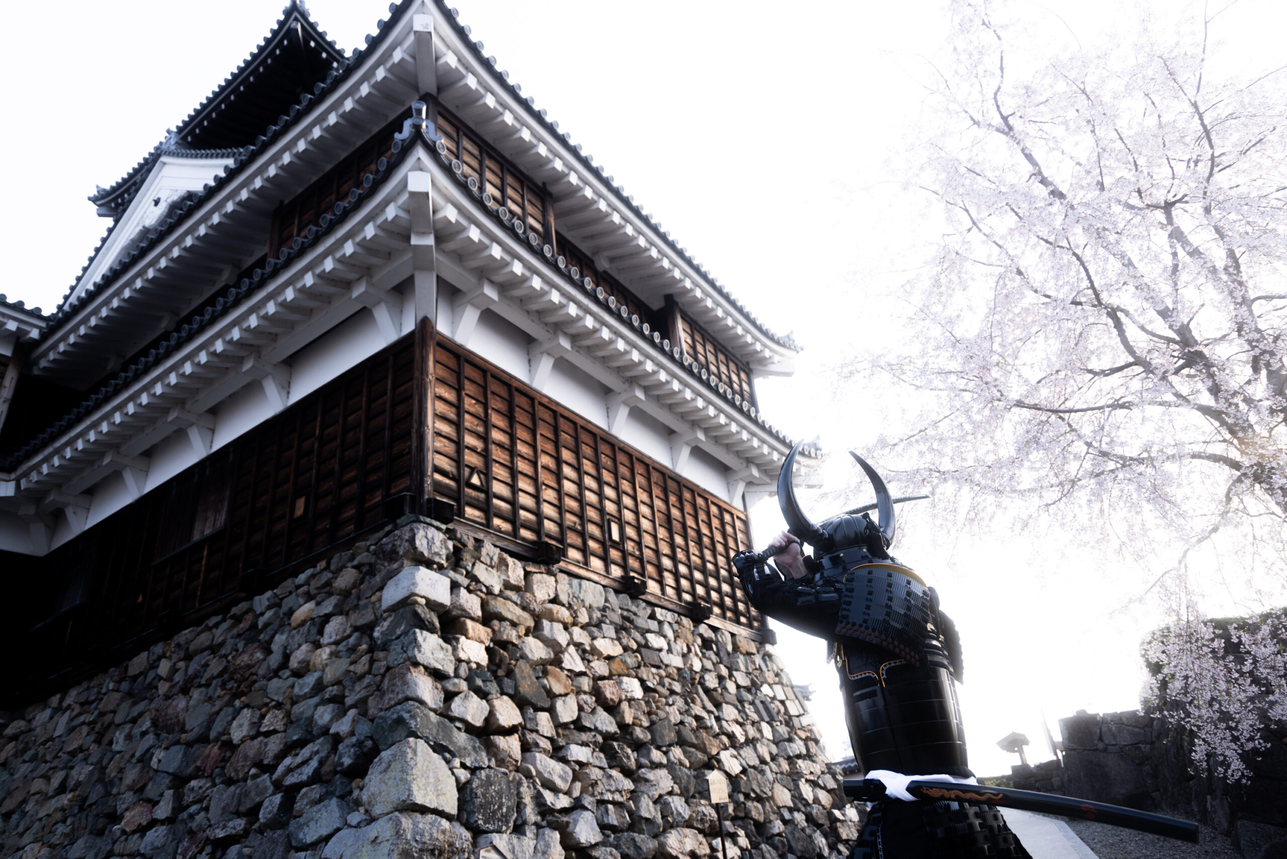shogunstudiojapan