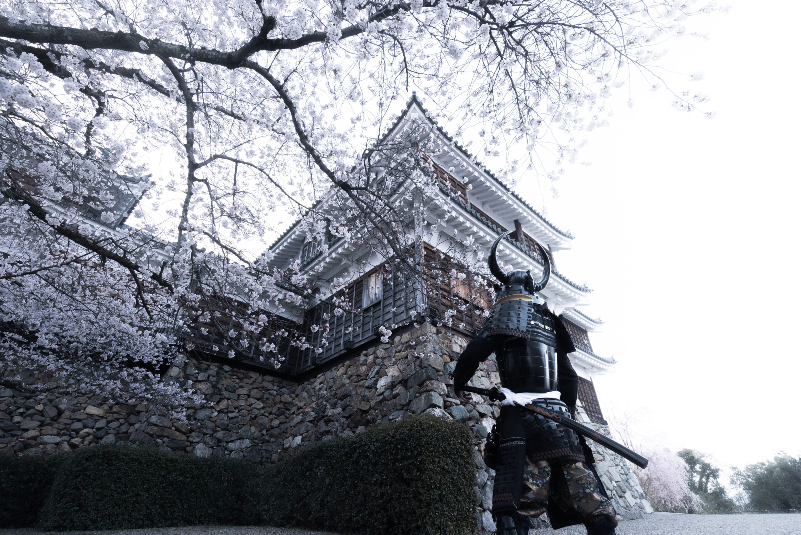 shogunstudiojapan
