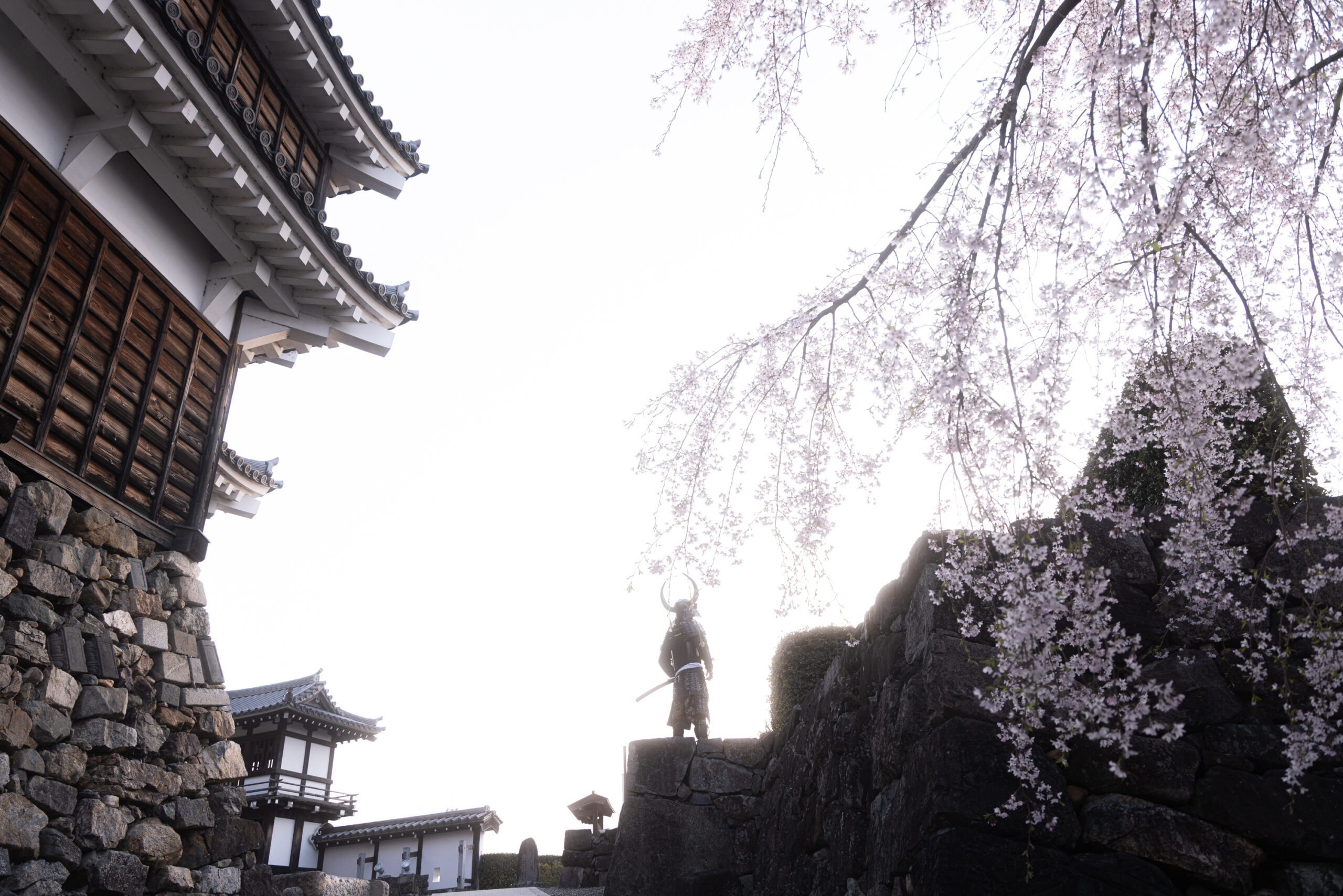 shogunstudiojapan_5