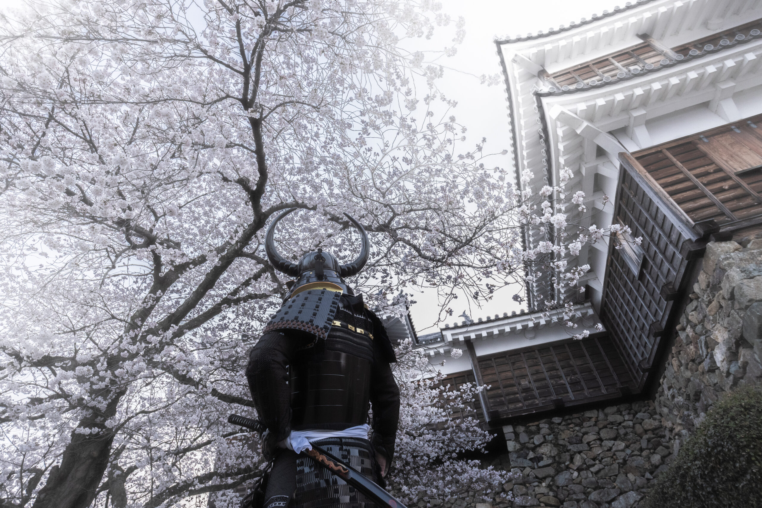 shogunstudiojapan_7