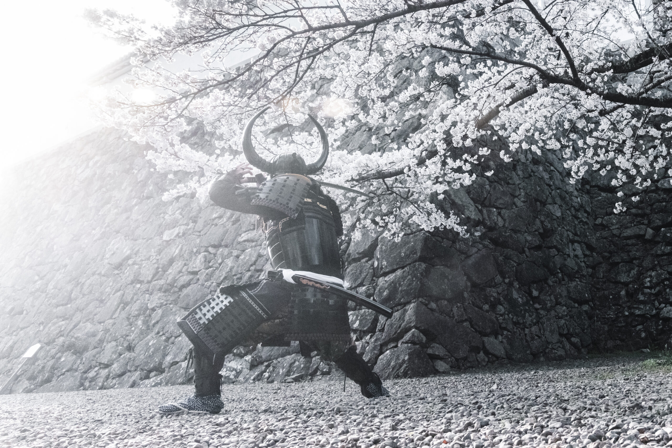 shogunstudiojapan_2