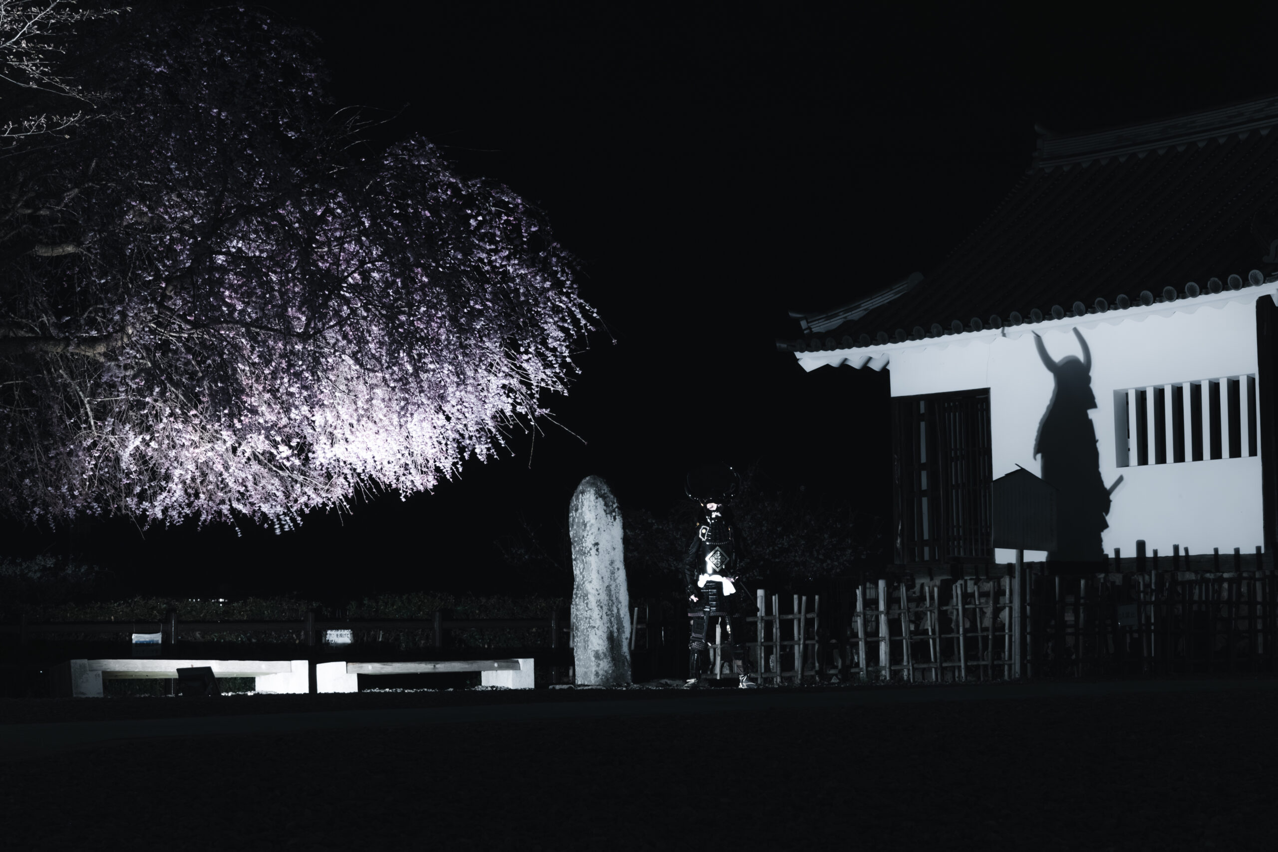 shogunstudiojapan