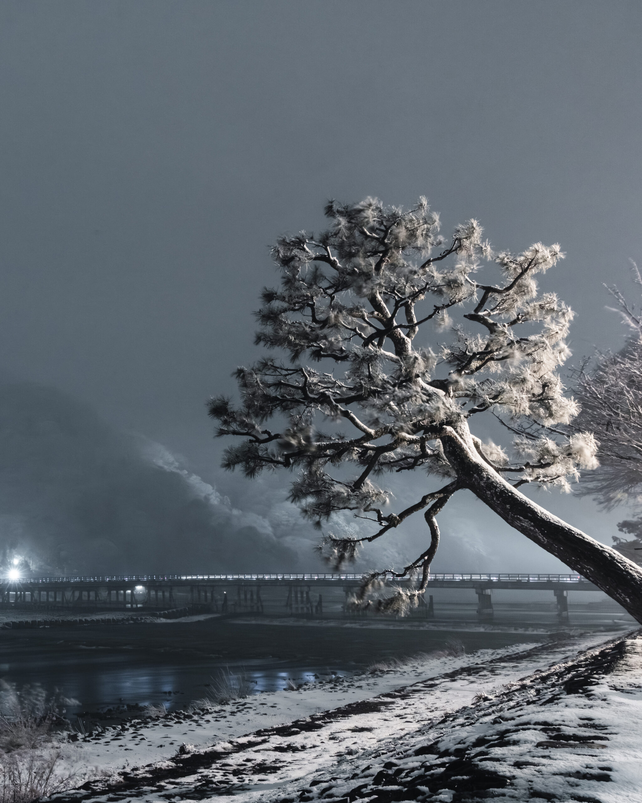 嵐山渡月橋 TOGETSUKYO BRID